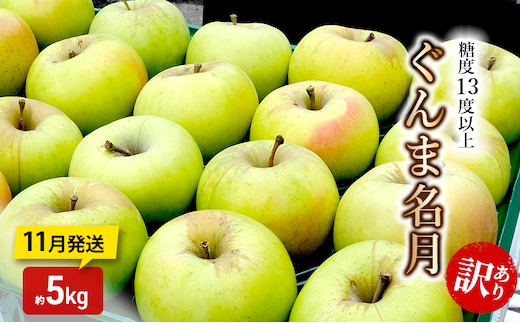 りんご【11月発送】糖度13度以上 訳あり 家庭用 ぐんま名月 約5kg【青森りんご】