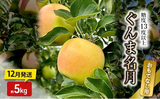 りんご【1～2月発送】糖度13度以上 ぐんま名月 おもてなし品 約5kg【青森りんご】