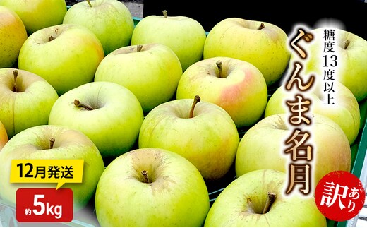 りんご【1～2月発送】糖度13度以上 訳あり 家庭用 ぐんま名月 約5kg【青森りんご】