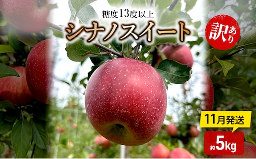 りんご【11月発送】糖度13度以上 訳あり 家庭用 シナノスイート 約5kg【青森りんご】