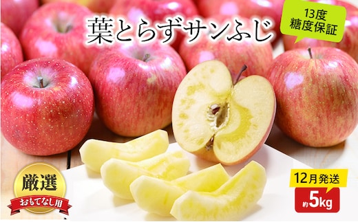 りんご【12月・1月発送】蜜入り 糖度13度以上 おもてなし品 葉とらず サンふじ 約5kg【青森りんご】果物 フルーツ 産地直送 贈り物 年末 年始 挨拶