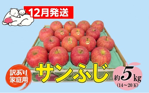【12月発送】白熊 訳あり家庭用 サンふじ 約5kg 糖度13度【青森りんご 果物 フルーツ 食後 デザート シャキシャキ ジューシー りんごの王様 】