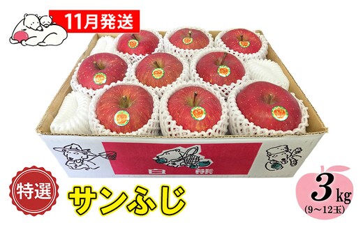 【11月発送】白熊 特選 サンふじ 絆 約3kg 糖度13度【青森りんご 果物 フルーツ 食後 デザート シャキシャキ ジューシー りんごの王様 】