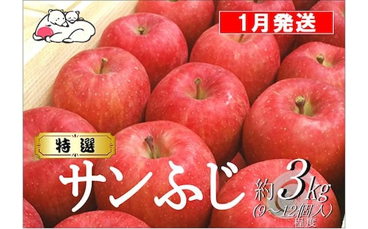 【1月発送】白熊 特選 サンふじ 絆 約3kg 糖度13度【青森りんご 果物 フルーツ 食後 デザート シャキシャキ ジューシー りんごの王様 】