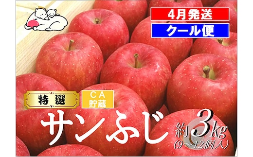 【クール便】4月発送 白熊 特選 サンふじ 絆 約3kg 糖度13度【青森りんご・ 果物 フルーツ 食後 デザート シャキシャキ ジューシー りんごの王様 】