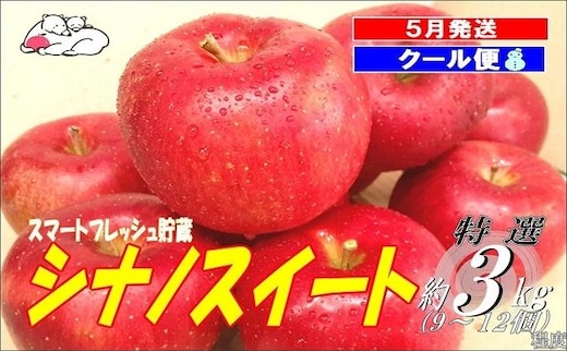 【5月発送クール便】白熊 贈答用シナノスイート約3kg スマートフレッシュ 糖度13度【青森りんご 果物 フルーツ 果物類 デザート 食後 おやつ 青森のりんご 】