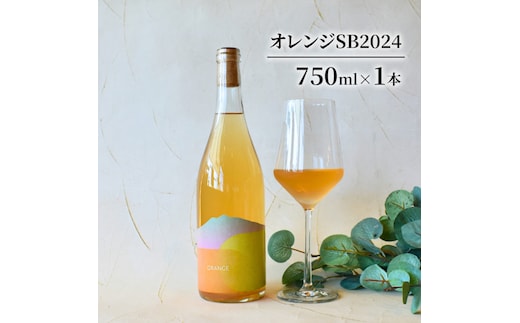 オレンジSB2024 お酒 ワイン 日本ワイン 果実酒 辛口 オレンジワイン 白ブドウ アルコール 青森県 鶴田町