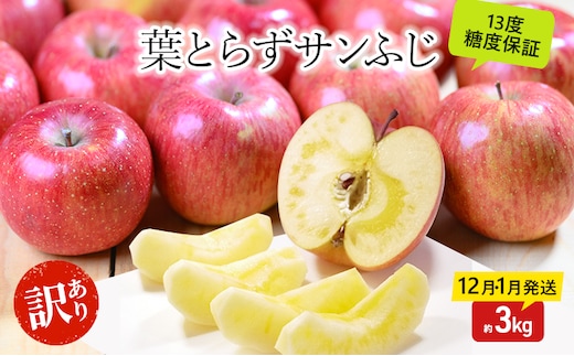 りんご 【12月・1月発送】 蜜入り 糖度13度以上 訳あり品 家庭用 葉とらず サンふじ 約 3kg 【 青森りんご 】 果物 フルーツ 産地直送 糖度測定 褐変 チェック 贈り物 年末 挨拶