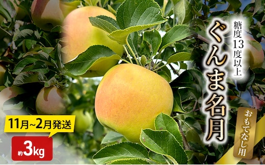 りんご【11月～2月発送】糖度13度以上 ぐんま名月 おもてなし用 家庭用 約3kg【青森りんご】