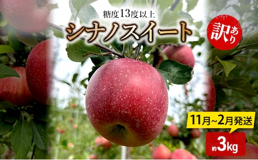 りんご【11月～2月発送】糖度13度以上 訳あり品 家庭用 シナノスイート 約3kg【青森りんご】