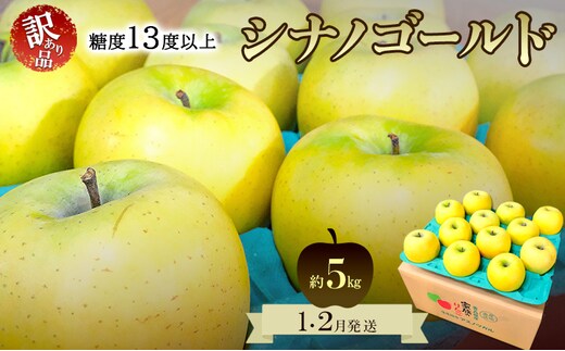 りんご【1月・2月発送】糖度13度以上 訳あり品 家庭用 シナノゴールド 約5kg【青森りんご 果物 フルーツ デザート 食後 青森県産 産地直送 贈り物】