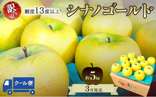 りんご【3月クール便発送】平均糖度13度以上 訳あり品 家庭用 シナノゴールド 約5kg【青森りんご 果物 フルーツ デザート 食後 青森県産 産地直送 贈り物】