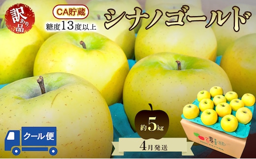 りんご【4月クール便発送】平均糖度13度以上 訳あり品 家庭用 CA貯蔵 シナノゴールド 約5kg【青森りんご 果物 フルーツ デザート 食後 青森県産 産地直送 贈り物】