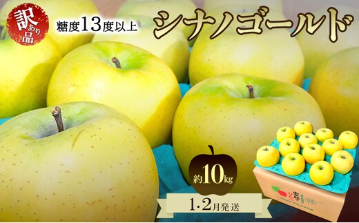 りんご【1月・2月発送】糖度13度以上 訳あり品 家庭用 シナノゴールド 約10kg【青森りんご 果物 フルーツ デザート 食後 青森県産 産地直送】