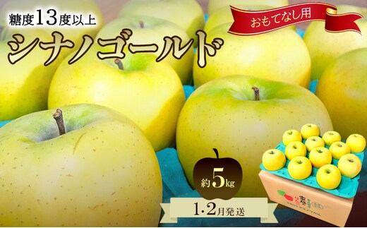りんご【1月・2月発送】糖度13度以上 おもてなし用 家庭用 シナノゴールド 約5kg【青森りんご 果物 フルーツ デザート 食後 青森県産 産地直送 贈り物】