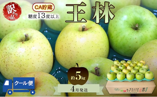 りんご【4月クール便発送】平均糖度13度以上 訳あり品 家庭用 CA貯蔵 王林 約5kg【青森りんご】フルーツ リンゴ 青森県 王林りんご 家庭用 ジューシー
