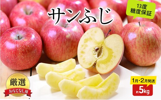 りんご 【1月・2月発送】 糖度13度以上 おもてなし用 家庭用 サンふじ 約 5kg 【 青森りんご 果物 フルーツ デザート 食後 青森県産 産地直送 贈り物 】