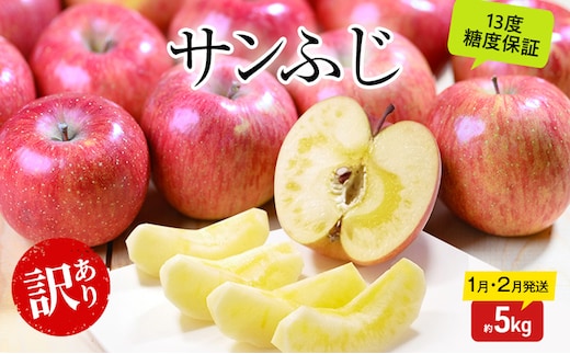 りんご 【1月・2月発送】 糖度13度以上 訳あり品 家庭用 サンふじ 約 5kg 【 青森りんご 果物 フルーツ デザート 食後 青森県産 産地直送 贈り物 】