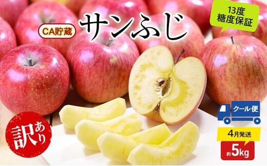 りんご 【4月クール便発送】 平均糖度13度以上 訳あり品 家庭用 CA貯蔵 サンふじ 約 5kg 【 青森りんご 】 フルーツ 果物 リンゴ 青森県 デザート ジューシー