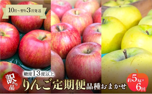 【10月～翌年3月発送 りんご定期便】糖度13度以上 家庭用訳あり りんご 約5kg × 6回 家庭用訳ありコース【青森りんご】 リンゴ 林檎 訳あり 家庭用 果物 フルーツ 青森県 鶴田町