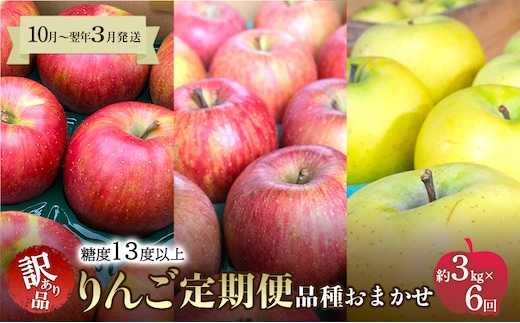 【10月～翌年3月発送 りんご定期便】糖度13度以上 家庭用訳あり りんご 約3kg × 6回 家庭用訳ありコース【青森りんご】 リンゴ 林檎 訳あり 家庭用 果物 フルーツ 青森県 鶴田町