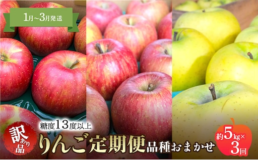 【1月～3月発送 りんご定期便】糖度13度以上 家庭用訳あり りんご 約5kg × 3回 家庭用訳ありコース【青森りんご】 リンゴ 林檎 訳あり 家庭用 果物 フルーツ 青森県 鶴田町