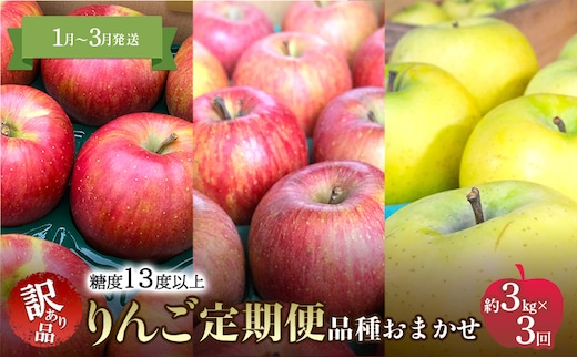 【1月～3月発送 りんご定期便】糖度13度以上 家庭用訳あり りんご 約3kg × 3回 家庭用訳ありコース【青森りんご】 リンゴ 林檎 訳あり 家庭用 果物 フルーツ 青森県 鶴田町