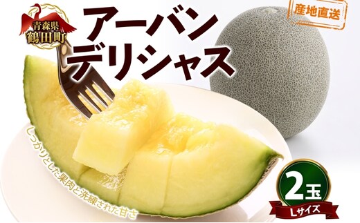 青森県産 つがりあんメロン 「アーバンデリシャス」 Lサイズ 2玉 甘い 濃厚 ハウス栽培 弘果弘前中央青果 産地直送 メロン フルーツ 果物 ギフト 贈答 青森県 鶴田町