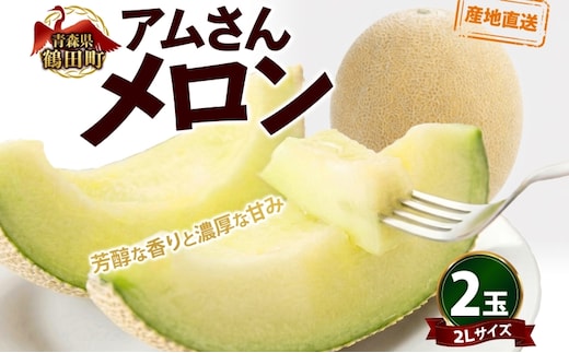 青森県産 つがりあんメロン 「アムさん」 2Lサイズ 2玉 完熟 甘い ジューシー ハウス栽培 弘果弘前中央青果 産地直送 メロン フルーツ 果物 ギフト 贈答 青森県 鶴田町