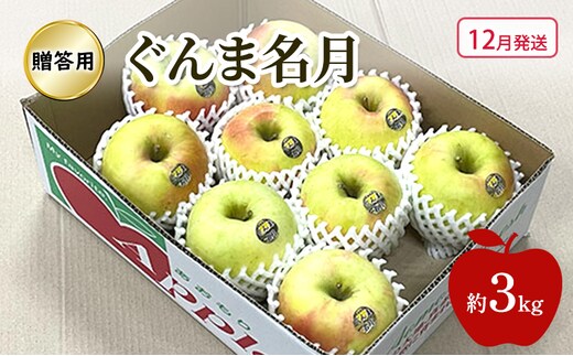 【12月発送】 りんご ぐんま名月 贈答用 約 3kg 林檎 フルーツ 果物 ギフト 青森県 鶴田町