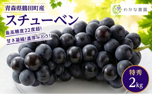 【園主厳選・特秀】奇跡のぶどう スチューベン 2kg 最高糖度22度超！ わかな農園