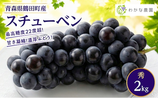 【園主厳選・秀】奇跡のぶどう スチューベン 2kg 最高糖度22度超！ わかな農園