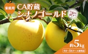 【平均糖度12度以上】4月～5月 クール便発送 家庭用 訳あり CA貯蔵 シナノゴールド 約 5kg りんご リンゴ 林檎 果物 フルーツ わけあり 青森