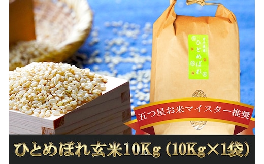 ひとめぼれ 玄米 10kg 盛岡市産 岩手 米 お米 ブランド米 いわて米 五つ星 お米マイスター 推奨 こめ コメ ライス ご飯 ごはん 美味しい 贈り物 国産 岩手県産 岩手県 盛岡市 お取り寄せ 産地直送 盛岡 佐々木米穀店