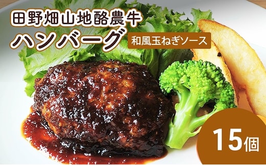 田野畑山地酪農牛ハンバーグ 和風玉ねぎソース 15個 牛肉 肉 牛 惣菜 おかず お弁当 冷凍 小分け 個包装 湯煎 温めるだけ 簡単調理 レトルト 詰め合わせ ブランド牛 希少 厳選素材 旨味 ジューシー 国産 岩手県 盛岡市 東北 岩手 盛岡 有限会社 秀吉