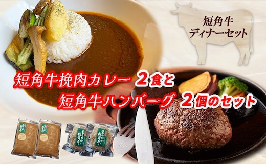 ブランド和牛 もりおか短角牛 ハンバーグ 2個 カレー 2食 セット 大人のカレー カレー 牛カレー 牛ハンバーグ お店の味 惣菜 おかず 夕食 ごはん 家族 お手軽 手軽 簡単 簡単調理 挽肉 curry かれー 盛岡 パイオニアファーム 株式会社トゥレイス