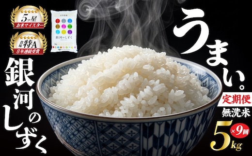 銀河のしずく 無洗米 5kg 米 定期便 9回 9ヶ月 連続 お届け 盛岡市産 いわて米 ブランド米 精米 白米 米 お米 こめ コメ ライス ご飯 ごはん 美味しい おすすめ贈り物 ぎんがのしずく 国産 産地直送 盛岡 佐々木米穀店