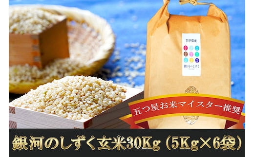 五つ星お米マイスター 厳選 盛岡市産 銀河のしずく 30kg 5kg×6袋 玄米 米 こめ コメ お米 ご飯 ごはん ライス グルメ 五つ星 5つ星 5ツ星 お米マイスター 5kg 5キロ 単品 単一原料米 銘柄米 小分け ブランド米 総量 30kg 国産 産地直送 盛岡 佐々木米穀店