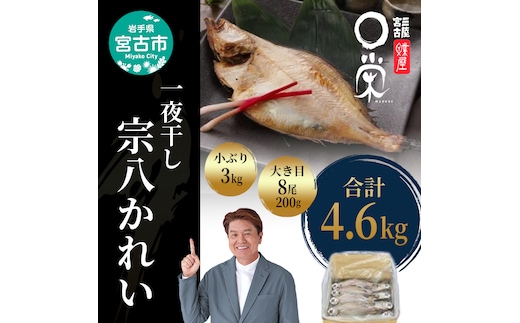 一夜干し 宗八かれい 4.6kg セット 詰め合わせ 大き目 8尾 小ぶり 3kg 干し魚 干物 ひもの カレイ 魚 魚介 魚介類 冷凍 岩手 岩手県 宮古市