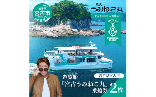 遊覧船 「宮古うみねこ丸」 乗船券 [2枚] チケット 券 名勝 景色 自然 船