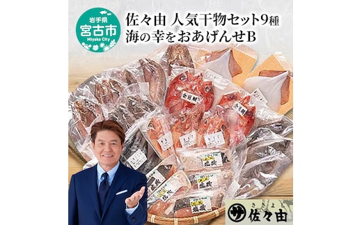 海の幸をおあげんせ B 岩手県宮古市 海の幸 旬の魚 干物 冷凍便