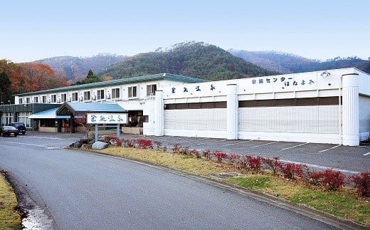 金矢温泉 ホテル銀河パークはなまきペア宿泊券 【178】