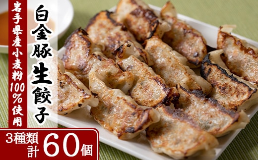 カスイ 生餃子詰合せ 【076】