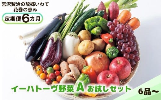 【定期便6ヶ月】イーハトーヴ野菜A お試しセット 6品～ 【294】