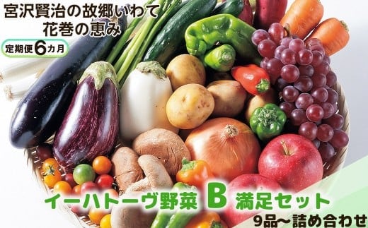 【定期便6ヶ月】イーハトーヴ野菜B 満足セット 9品～ 詰め合わせ 【1205】