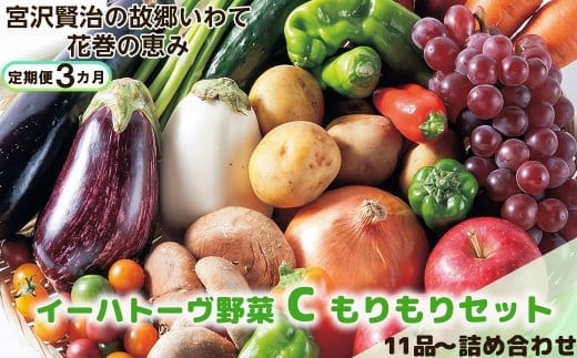 【定期便3ヶ月】イーハトーヴ野菜C もりもりセット 11品～ 詰め合わせ 【1208】