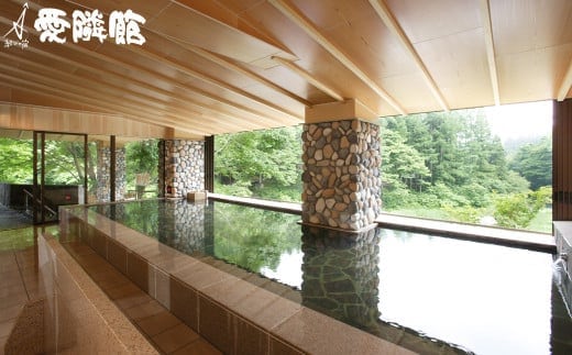 新鉛温泉 結びの宿 愛隣館 日帰り 入浴券 （10枚セット） 【1267】