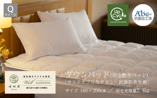 ダウンパッド（羽毛敷きパッド） クイーン［サステナブルなダウン×抗菌防臭生地］ 【1330】