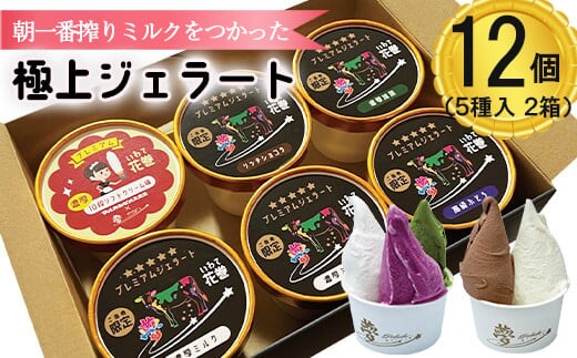花巻発！極上ジェラート12個セット 120ml×厳選5種類 【1422】