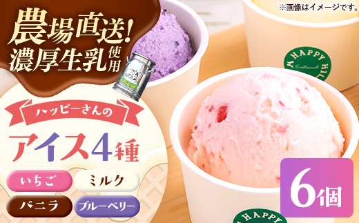 ハッピーさんのアイス 4種類6個入り アイスクリーム カップ スイーツ あいす セット ギフト プレゼント 贈り物 夏 ミルク バニラ ストロベリー ブルーベリー 農場直送 冷凍 岩手県 岩手町